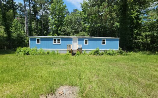 278 Easy Street, Stapleton, GA 30823