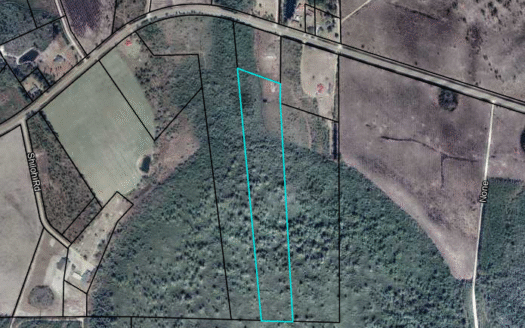 Shiloh Hwy Lot , Homerville, GA 31634