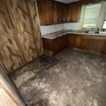 Screenshot 2024-09-06 at 11.47.40 AM.png