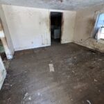 Screenshot 2024-09-06 at 11.48.04 AM.png