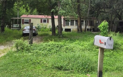 123 Our Dream Road, Walterboro, SC 29488