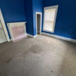 Screenshot 2025-04-15 at 8.26.23 AM.png