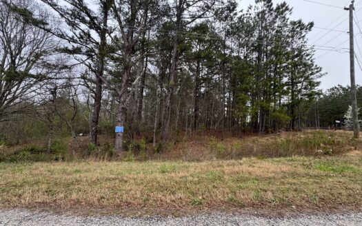 Willow Wind Lot 1 , Social Circle, GA