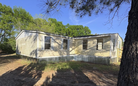 314 Alexander Street, Clio, SC 29525